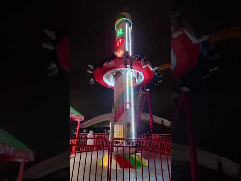 Fun Dizzy Drop Tower Playland