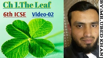 06th ICSE CHP 01 THE LEAF VIDEO 02 BY UBED KHAN