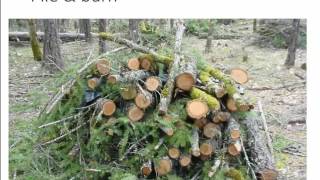 Fuels Reduction in Forests and Woodlands