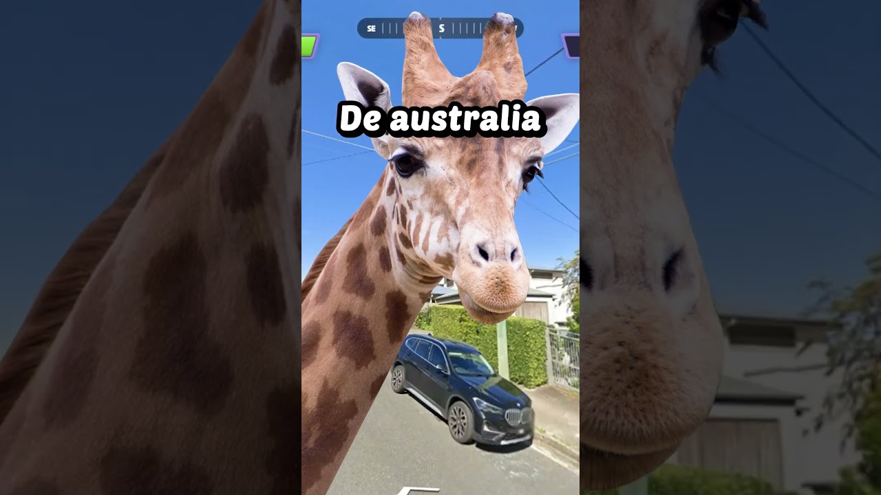 GEOGUESSR mas se eu ESTIVER LONGE o video ACABA