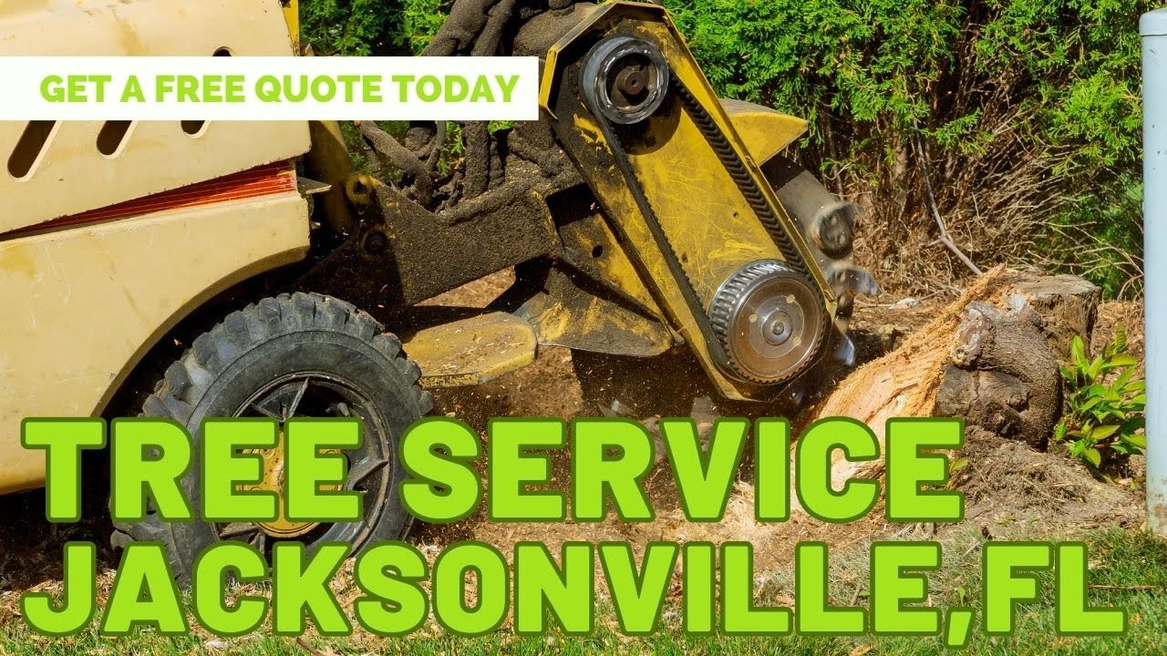 Tree Service Jacksonville Florida Stump Grinding and Removal
