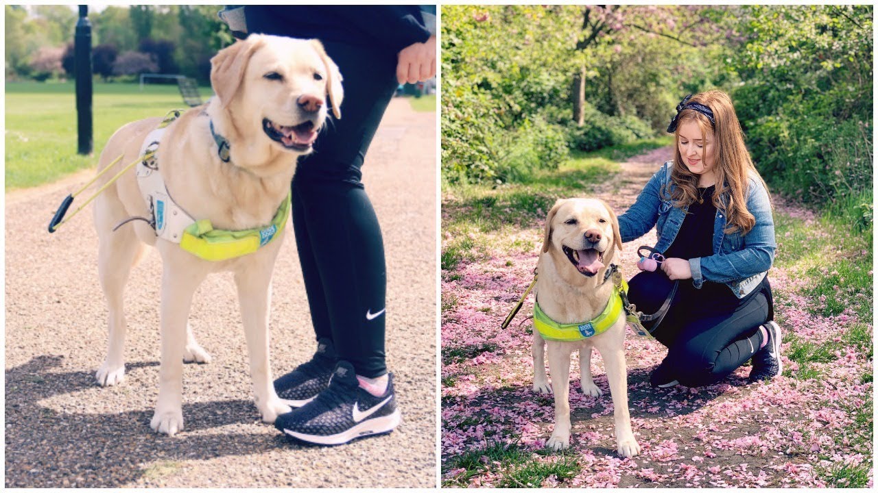 I'm Walking 100,000 Steps For Guide Dogs | Fashioneyesta - YouTube