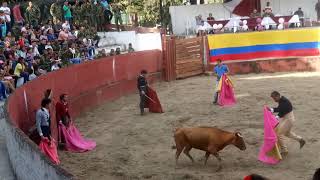 corrida de toros agustin codazzi