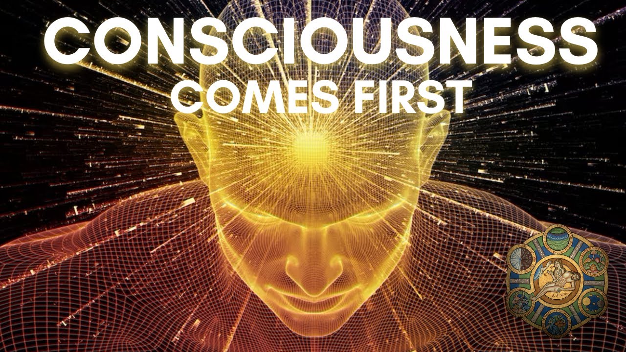 Understanding the Role of Consciousness Solves Nihilsm | with ...