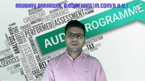 Audit programme ¦ Characteristics ¦ Development ¦ Advantages ¦ Disadvantages