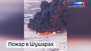 Вести Санкт-Петербург. Выпуск 09:00 от 15.01.2024