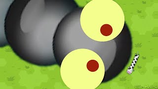 Snake.io The Running PRO Worm Epic Adventure in Snake io Best Moments! #69