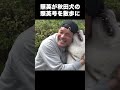 照英が秋田犬の照英号と散歩したら思い切りヤンチャで可愛かった!