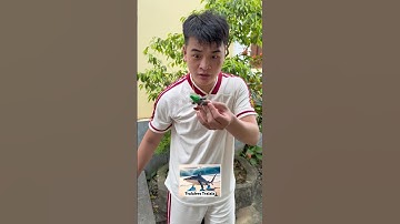 Quái vật Brainrot xuất hiện quanh nhà quá nhiều #funny #brainrot