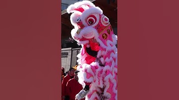 Thumbnail of CHINESE NEW YEAR 2023 LION DANCE & FIRECRACKERS - SAN FRANCISCO CHINATOWN