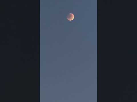 القمر احمر 8 55