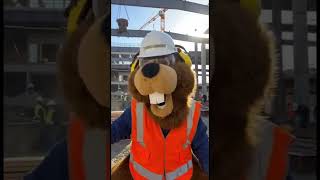 Beaver Fails 3  Construction #shorts #construction  #funny
