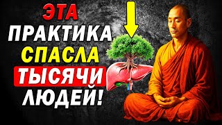 Секрет Тибетских Монахов: Как Очистить Печень за семь ДНЕЙ и ЗАБЫТЬ о Жире Навсегда!