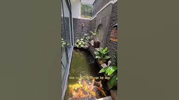 Biệt thự Hà Quang 2 có hồ cá Koi quá đẹp#shorts