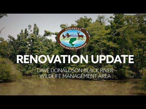 Dave Donaldson Black River WMA Renovation Update