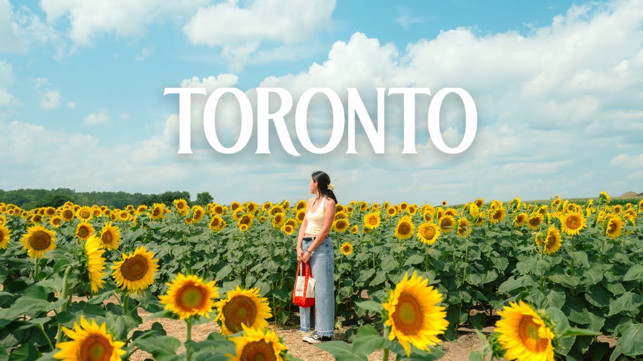 a slice of summer in toronto