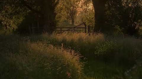 فيصل الرشود (سورة الأحزاب ٥٢-٢٨).