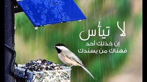 فضيلة الشيخ محمد فوزى من سورة السجده والانسان تلاوه تفوق كل الحدود إبداااع لا يوصف