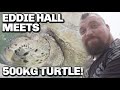 EDDIE HALL MEETS 500KG TURTLE!