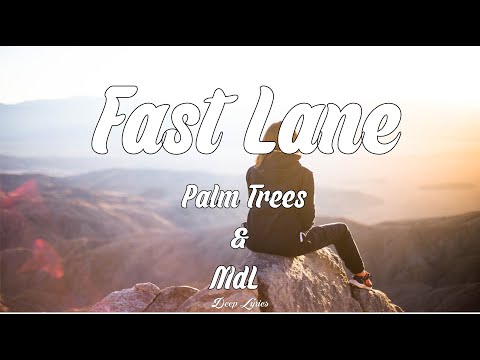 Palm Trees X MdL X Abi F Jones Fast Lane Lyrics 