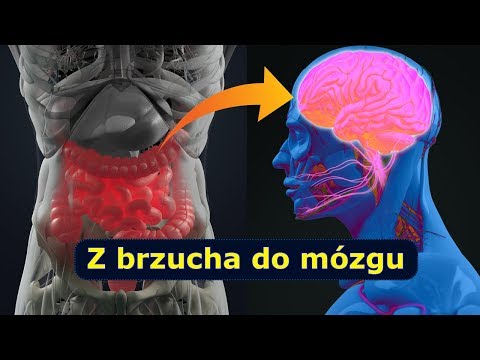 Wideo: Czy dysbioza jest przyczyną problemów zdrowotnych twojego psa?