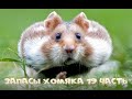 МОИ ЗАПАСЫ❤️ЧАСТЬ 19❤️ГЕЛИ ДЛЯ ДУША❤️