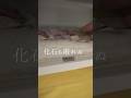 WHY?固まった氷できんのよ?救出できるのか?たまに開けるとサプライズなんよ。冷蔵庫冷凍庫掃除ASMR 生活音