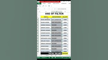 Filter Data in Excel | Excel Filter | #excel #computer #shorts #viral