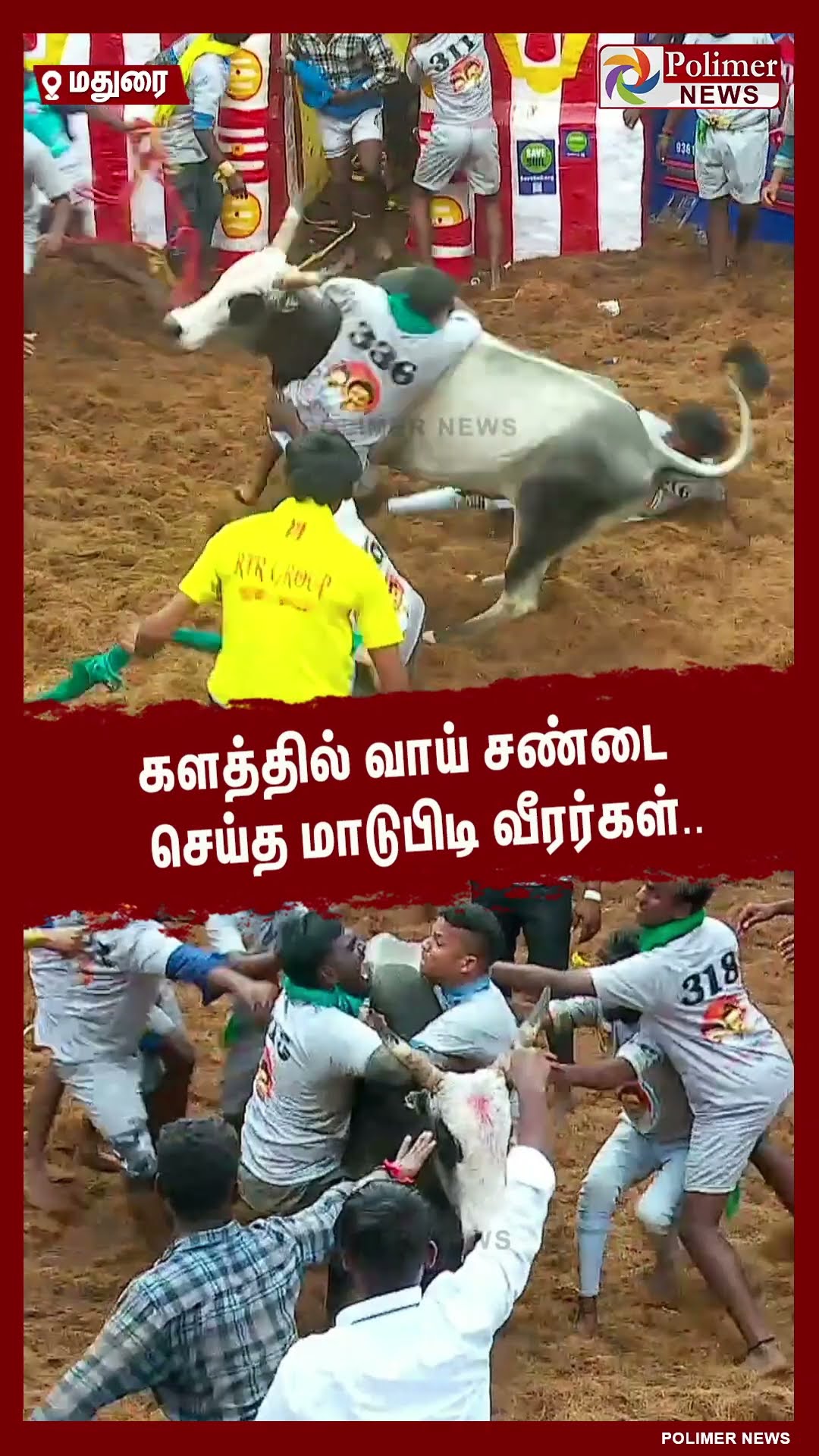 நான் தான் புடிச்ச..!! களத்தில் வாய் சண்டை செய்த மாடுபிடி வீரர்கள்..#shorts | #alanganallurjallikattu