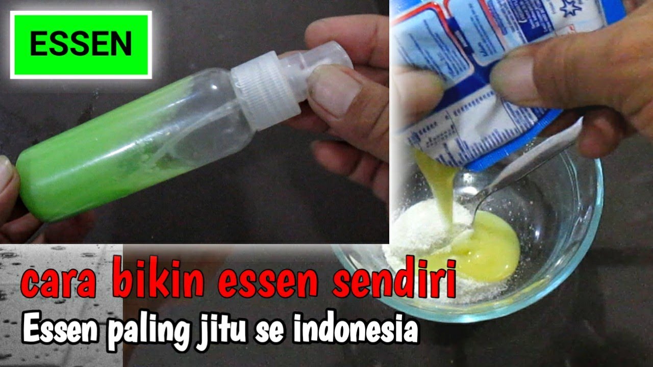 essen untuk galatama lele