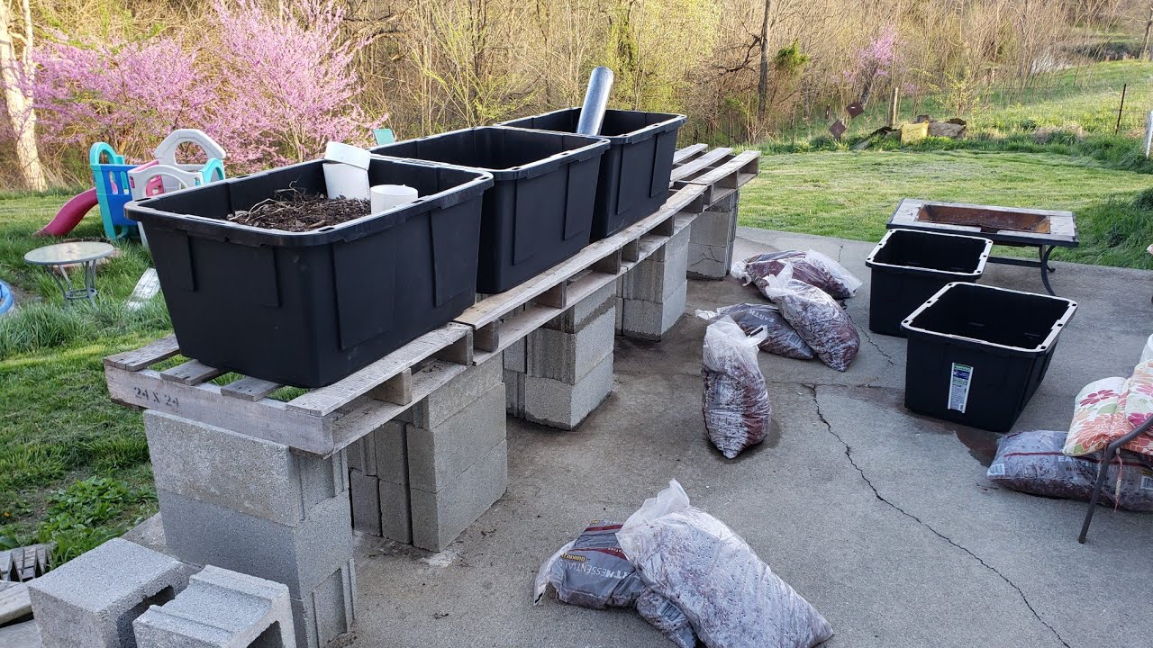 2019 wicking bed/ aquaponics system build part1 YouTube