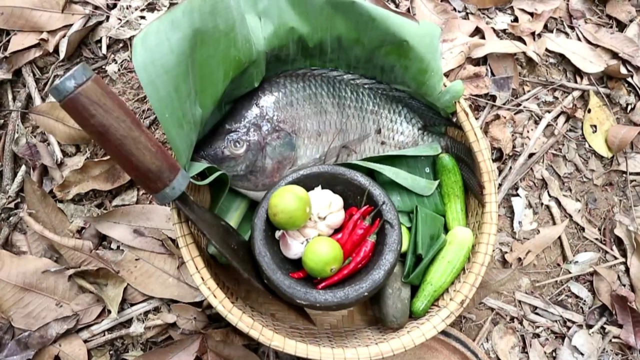 survival time small cell carcinoma bladder Survival skills: Big fish grilled on clay for food - Cooking big fish eating delicious