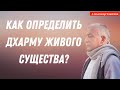 Как определить ДХАРМУ живого существа? А.Хакимов