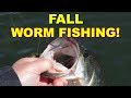 Best Fall Worm Fishing Tips for Bass Fishing (Because These Work!) | Bass Fishing