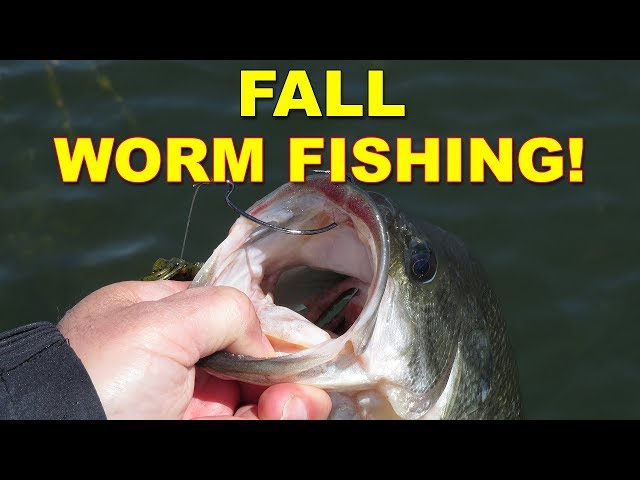 10 Worm Fishing Secrets You May Not Know - Wired2Fish