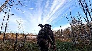 ИЗБА в дебрях. СРОЧНЫЕ ПОИСКИ В ТАЙГЕ. ПОХОД В ЛЕС. ПЫТАЕМСЯ НАЙТИ ИЗБУ СПРЯТАННУЮ В ГЛУШИ ТАЙГИ