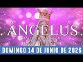 Ángelus de hoy domingo 14 de junio de 2026 Oración de mediodía