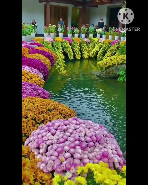 WONDERFUL GARDENS || TAMAN YANG INDAH  #shorts
