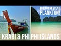 Krabi &amp; Phi Phi Islands - Thailand Adventure - Part 5