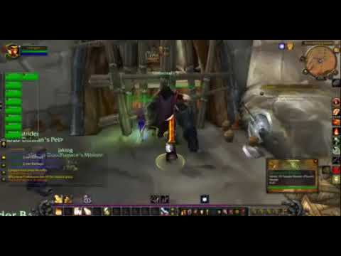 Blood Elf Paladin Level 14 19 ASMR gaming logo