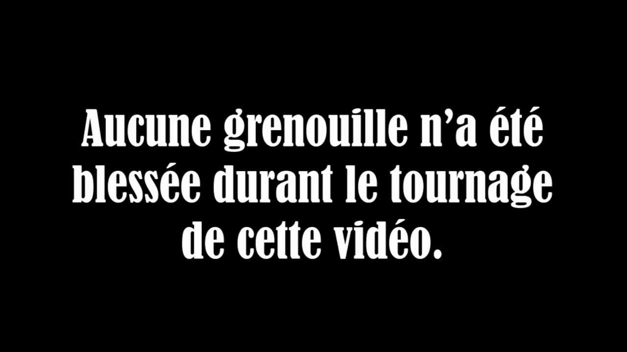 La Grenouille Qui Voulait Se Faire Aussi Grosse Que Le Boeuf Youtube