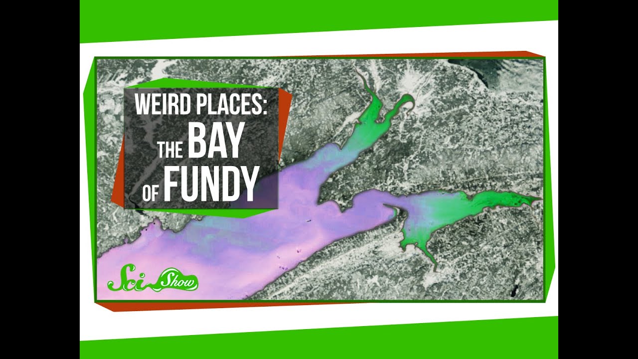 What Is Unique About The Bay of Fundy? - WorldAtlas