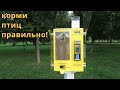 Корми птиц правильно!  // 14 сентября 2021