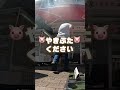 【おつかい】ラジコンに「おつかい」買いに行かせた末路www #焼き豚 編 Go buy roast pork with a radio-controlled car!!!