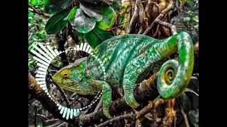 Caméléon Maître GIMS (cover+remix+speed up+lyrics)