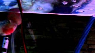 Mov04214