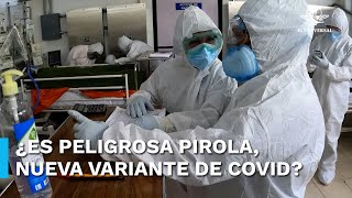 Esto es lo que sabemos de Pirola; una variante altamente contagiosa de Covid-19