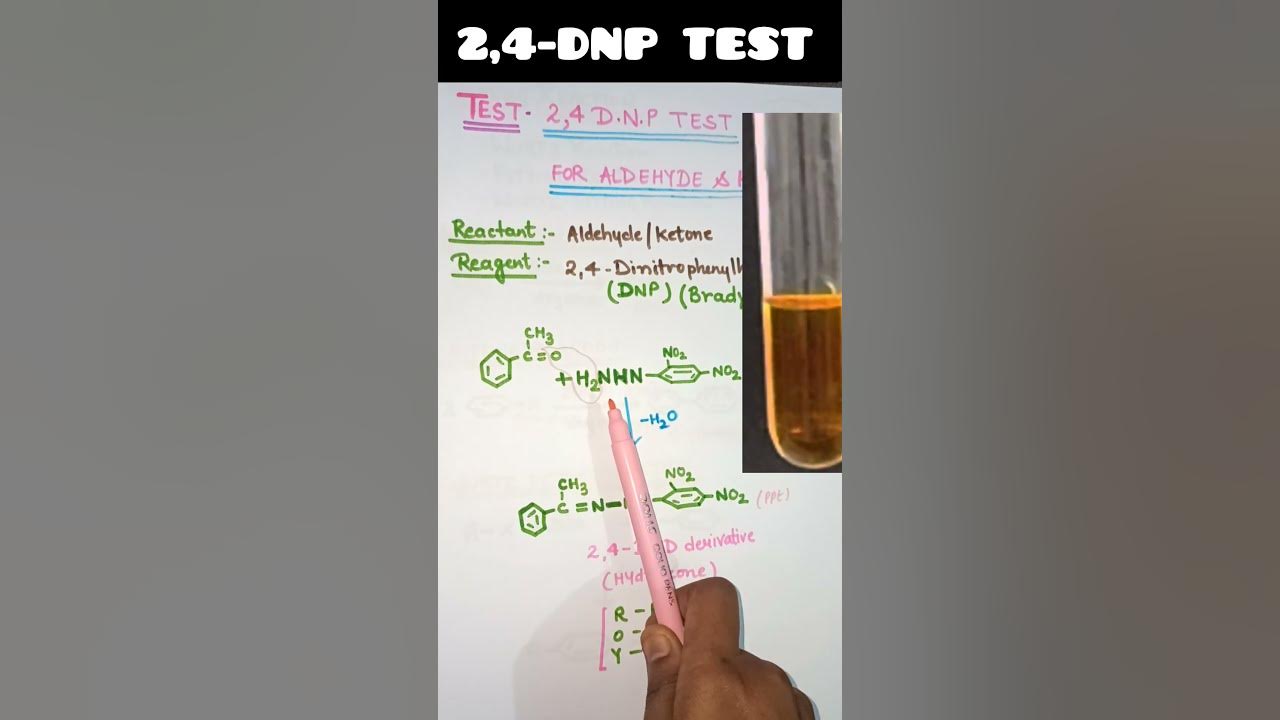 test-for-aldehyde-and-ketones-brady-s-reagent-2-4