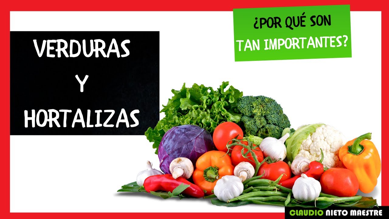 VERDURAS🍅 ¿Cuáles hay?🍆¿QUÉ SON y cómo se clasifican?🥕 ¿Cuáles son las 10 verduras más VERDURAS🍅 ¿Cuáles hay?🍆¿QUÉ SON y cómo se clasifican?🥕 ¿Cuáles son las 10 verduras más