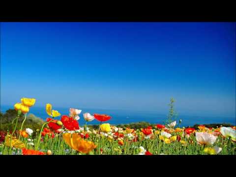 「手紙」　由紀さおり　cover 清紅
